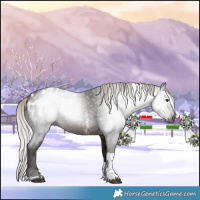 Horse Color:Gray Silver Brown Sabino Tobiano Appaloosa 