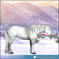 Horse Color:Gray Silver Brown Sabino Tobiano Appaloosa 