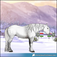 Horse Color:Gray Silver Brown Sabino Tobiano Appaloosa 