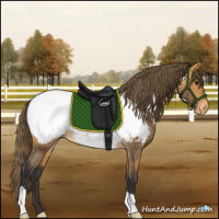 Horse Color:Buckskin Near Fewspot Rabicano