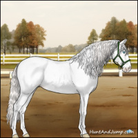 Horse Color:White Spotted Smoky Creme Near Fewspot 