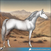 Horse Color:Gray Chestnut 