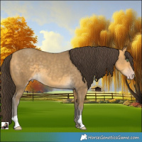 Horse Color:Sable Cream Champagne 