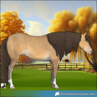 Horse Color:Sable Cream Champagne 