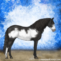 Horse Color:Liver Chestnut Frame 