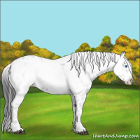 Horse Color:Black Frame 