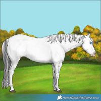 Horse Color:Black Frame 