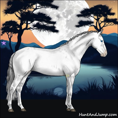 Horse Color:Black Frame