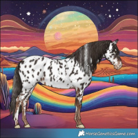 Horse Color:White Spotted Liver Chestnut Near Leopard 