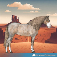 Horse Color:Chocolate Palomino Roan Sabino 