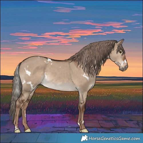 Horse Color:White Spotted Liver Red Dun 