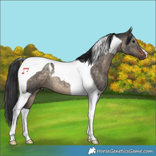 Horse Color:Brown Dun Tobiano 