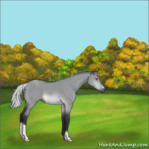 Horse Color:Silver Brown Chinchilla Dun 
