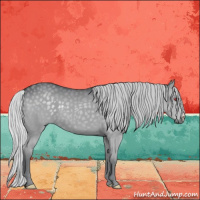 Horse Color:Silver Grullo Chinchilla 