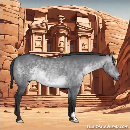 Horse Color:Grullo Chinchilla 