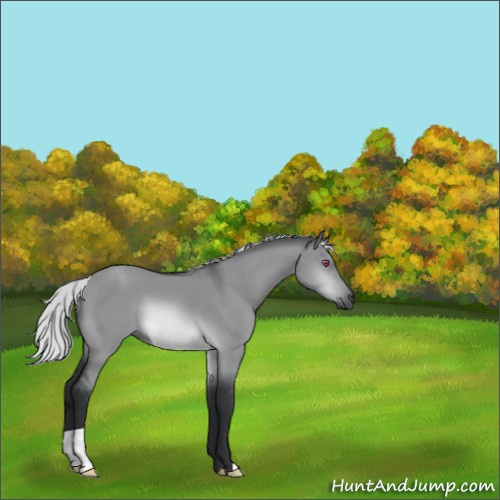 Horse Color:Silver Brown Chinchilla Dun 