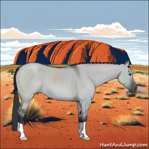 Horse Color:Grullo Chinchilla 