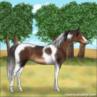 Horse Color:Gray Liver Chestnut Tobiano 