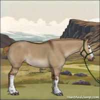 Horse Color:Gray White Spotted Liver Red Dun 