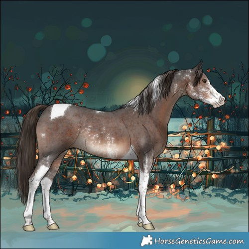 Horse Color:Liver Chestnut Sabino Tobiano Rabicano 