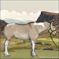 Horse Color:White Spotted Liver Red Dun Tobiano Rabicano 