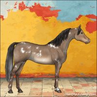 Horse Color:White Spotted Liver Red Dun 