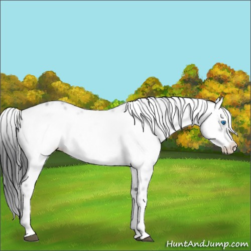 Horse Color:Black Frame
