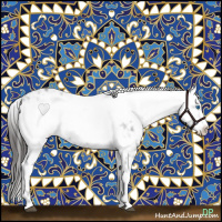 Horse Color:Liver Chestnut Frame 