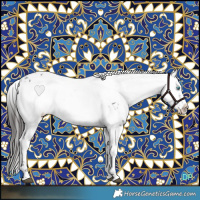 Horse Color:Liver Chestnut Frame 