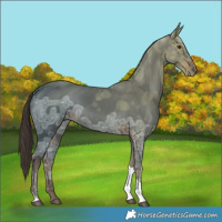 Horse Color:Liver Chestnut Ice Tobiano 