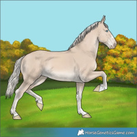 Horse Color:Cremello 