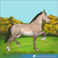 Horse Color:Sable Champagne Dun 
