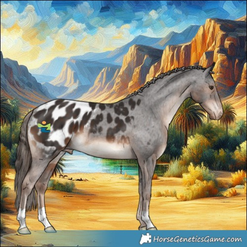 Horse Color:Liver Chestnut Appaloosa 