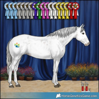 Horse Color:Liver Chestnut Mushroom Sabino