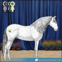 Horse Color:Liver Chestnut Sabino 