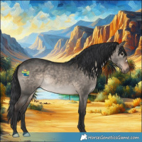 Horse Color:Brown Dun 