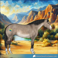 Horse Color:Brown Dun 