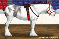 Horse Color:White Spotted Grullo Rabicano  and White Spotted Grullo Rabicano 