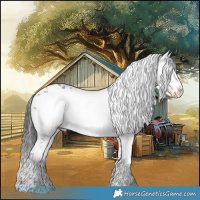 Horse Color:Black Frame 