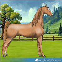 Horse Color:Chestnut Splash 