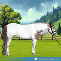 Horse Color:Liver Red Dun Tobiano Frame Rabicano 