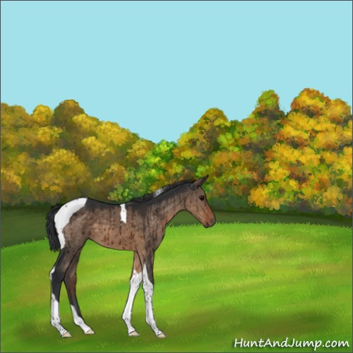Horse Color:Brown Dun Tobiano Brindle 