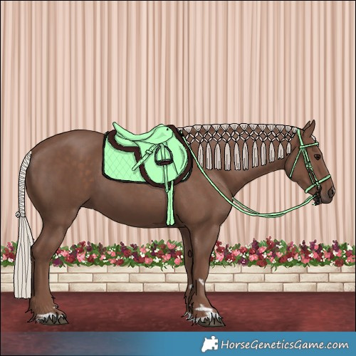 Horse Color:Silver Black 