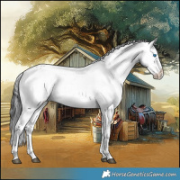 Horse Color:Black Frame 