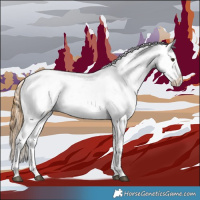 Horse Color:Red Dun Appaloosa  and Red Dun Roan Appaloosa 