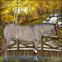 Horse Color:Liver Red Dun Roan Brindle 