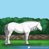 Horse Color:Liver Chestnut Frame 