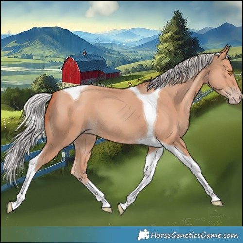 Horse Color:Silver Classic Champagne Tobiano 