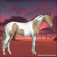 Horse Color:Classic Cream Champagne Tobiano Varnish 