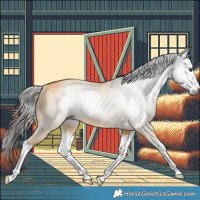 Horse Color:Gray Buckskin Dun Splash Rabicano 